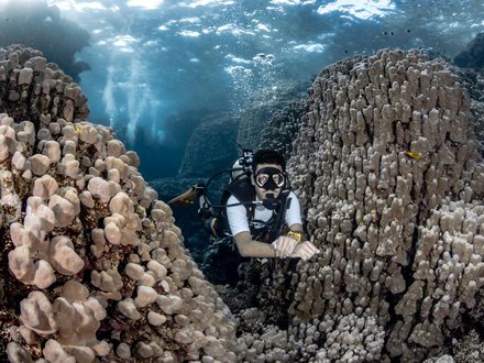 Fun Diving Trip- with gear