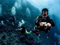 Fun Dive Trip- without gear