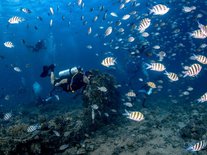 Discover Scuba diving for non-cerified divers