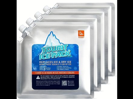 Reusable Ice Packs (set of 4)